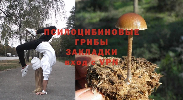 дживик Аркадак