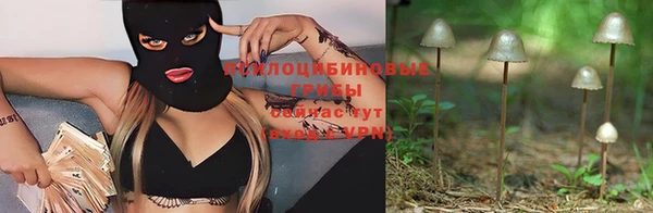 ПСИЛОЦИБИНОВЫЕ ГРИБЫ Арсеньев