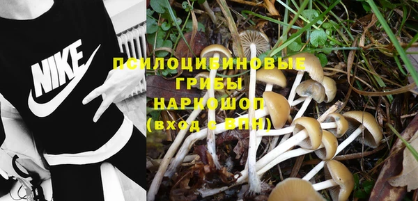 дживик Аркадак