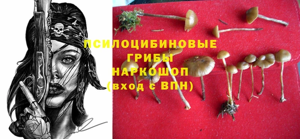 гашик Армянск