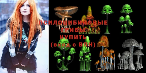 гашик Армянск